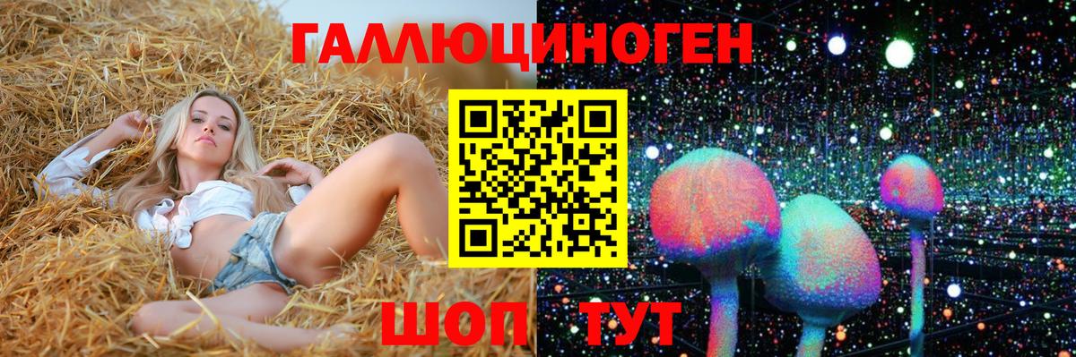 Россошь  Галлюциногенные грибы Magic Shrooms  Вход с VPN  Галлюциногенные грибы мицелий 